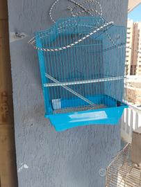 gabbie per uccelli 