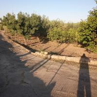 Sparacio Casa con terreno 1000mq