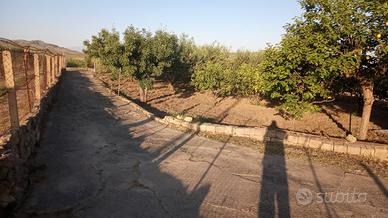 Sparacio Casa con terreno 1000mq