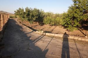 Sparacio Casa con terreno 1000mq