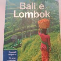 guida viaggi bali e lombok