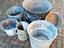 Immagine 5