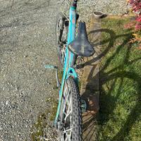 Mountain bike carraro