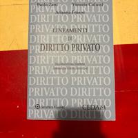 Lineamenti di Diritto Privato