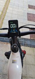 Bici elettrica