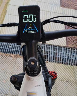 Bici elettrica