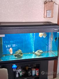 acquario 100 50 60