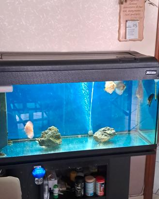 acquario 100 50 60