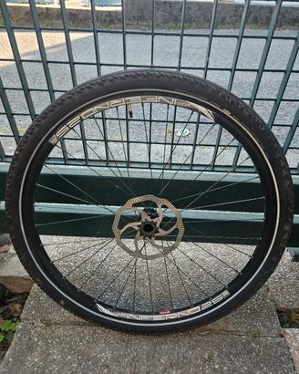 Ruote DT Swiss per Cannondale