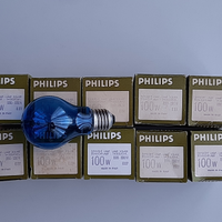 10 lampadine solari 100 watt Philips