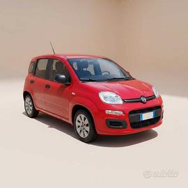 FIAT Panda 3ª serie - Panda 1.2 Pop