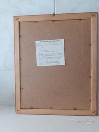 Quadro
