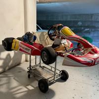 Go kart 100