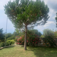 Bilocale arredato con balcone giardino a Burolo