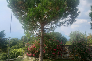 Bilocale arredato con balcone giardino a Burolo