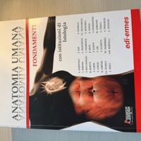 Anatomia umana