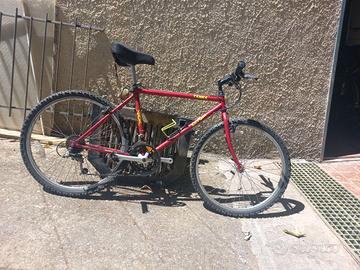 Bicicletta Mtb