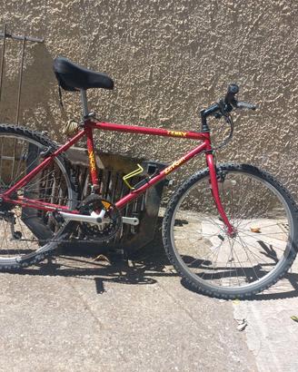 Bicicletta Mtb