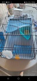 gabbia per conigli 