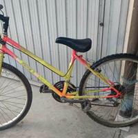 Bicicletta da ragazzo