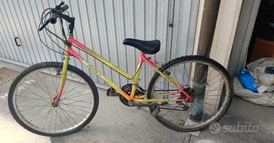 Bicicletta da ragazzo