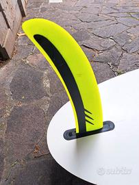 Tavola Windsurf BIC Techno 2 118 + Vela Trib