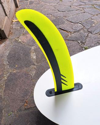 Tavola Windsurf BIC Techno 2 118 + Vela Trib