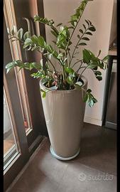 Vaso Lechuza Tondo 32