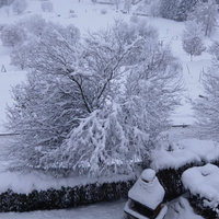 Lavarone/Folgaria febb-marzo 26: foto del 28.1