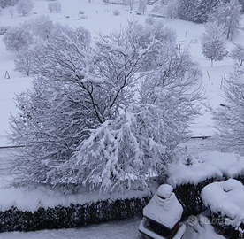 Lavarone/Folgaria febb-marzo 26: foto del 28.1