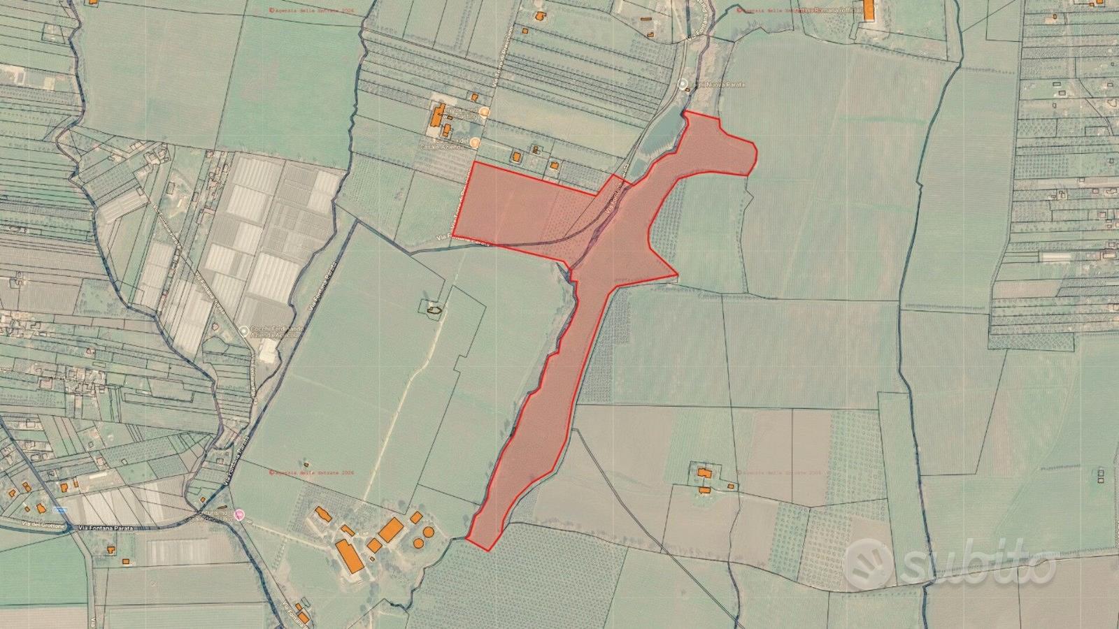 Terreno agricolo 12 ettari con vigneto e uliveto - Vista 2