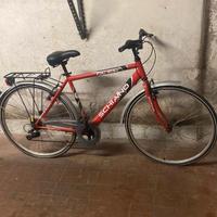 Bicicletta da uomo