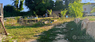 Vendita terreno agricolo 2.400mq