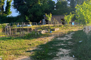 Vendita terreno agricolo 2.400mq