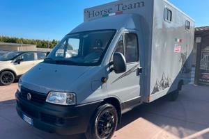 VAN TRASPORTO CAVALLI