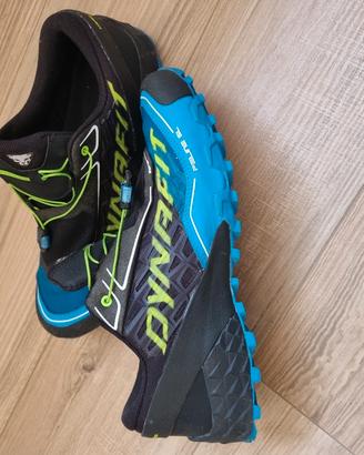 scarpe Dynafit Frline SL