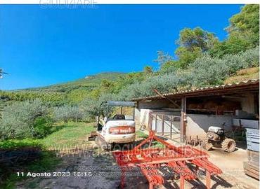 Villa o villino Spello [A4310055]