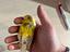 Immagine 3