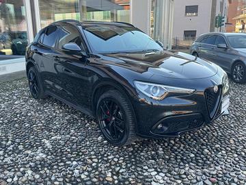ALFA ROMEO Stelvio 2.2 Turbodiesel 210 CV AT8 Q4