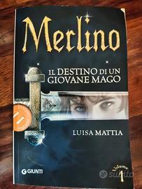 Libro Merlino Il destino di un giovane mago
