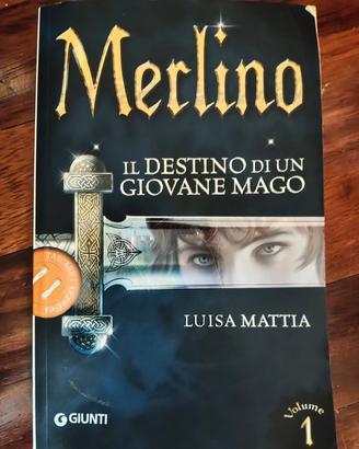 Libro Merlino Il destino di un giovane mago