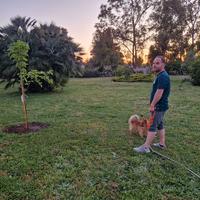 Pensione per cani piccola e media taglia a Latina