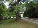 villa-con-parco