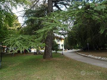 Villa con parco