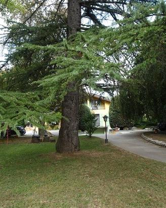 Villa con parco