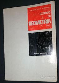 Corso di Geometria vol I e II - Cavalieri D'Oro