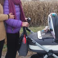 Trio Peg Perego