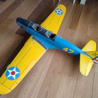 Aereo RC AA 1,65
