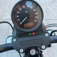 Harley Davidson Sportster modello Iron 883