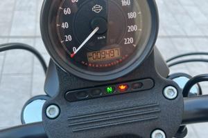 Harley Davidson Sportster modello Iron 883